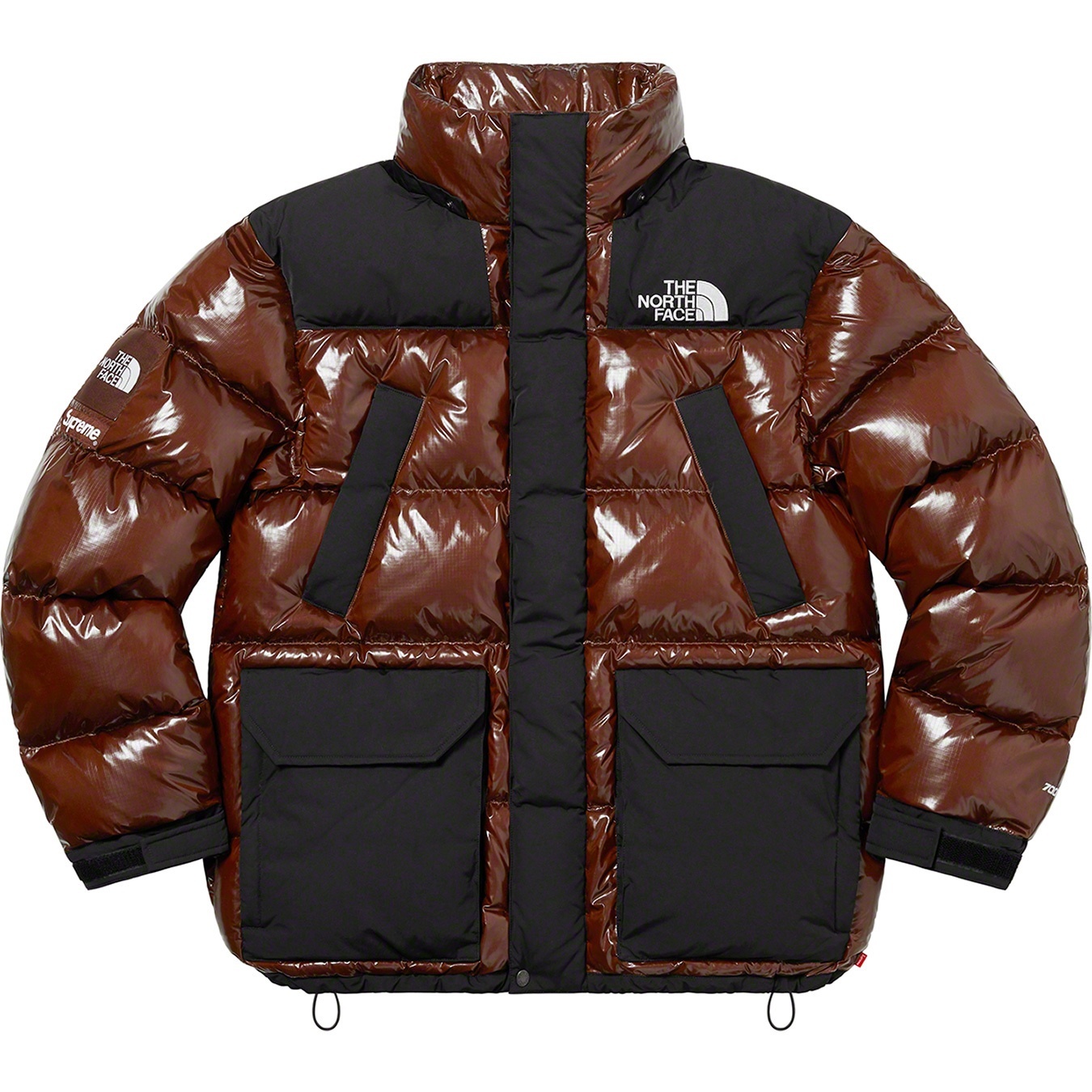 Supreme®/The North Face® 700-Fill Down Parka view 6